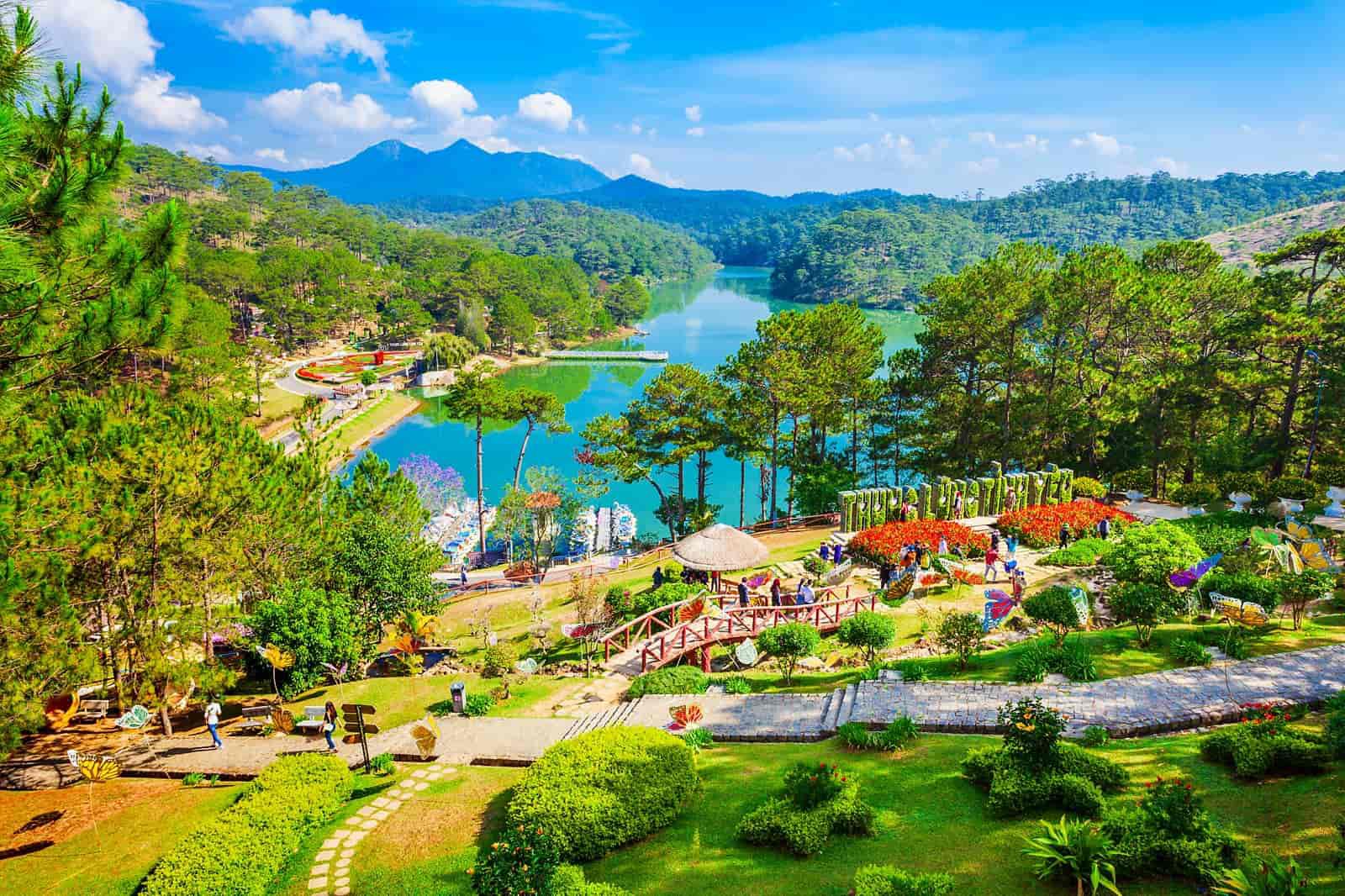 Kinh nghiệm du lịch Tết Đà Lạt 2025: Chơi gì, ở đâu và cách di chuyển