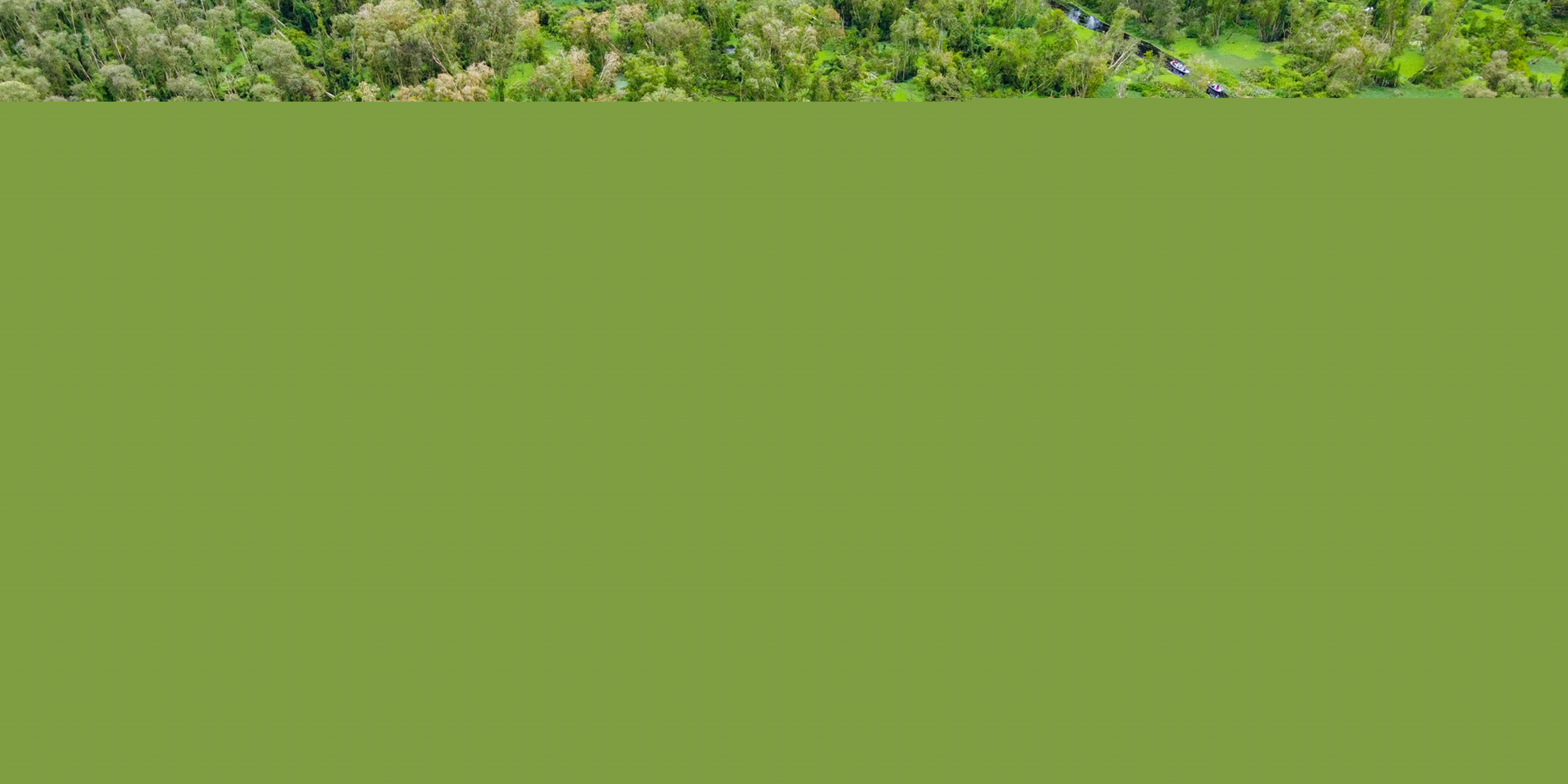 Vẻ Đẹp Bình Dị Của Sông Nước Miền Tây Nam Bộ