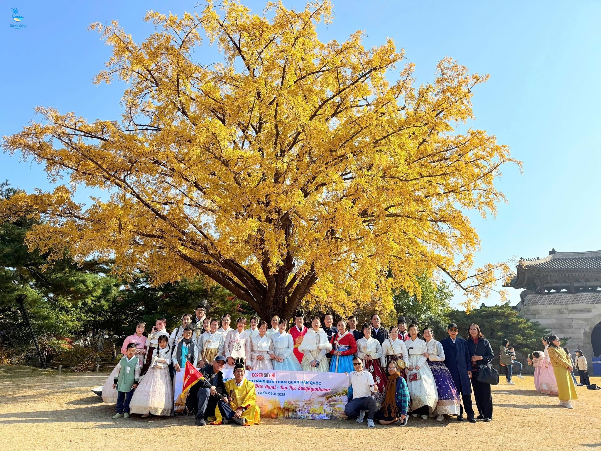 HÀN QUỐC 04/11-08/11