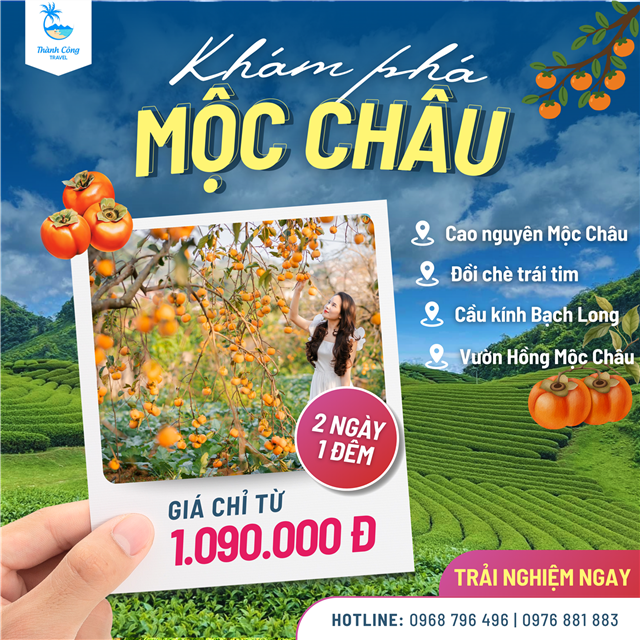 Khám phá vẻ đẹp rực rỡ của cao nguyên Mộc Châu mùa hồng chín