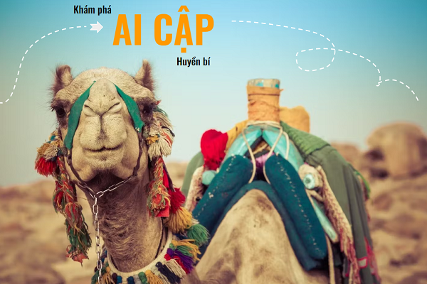 CAIRO - BAHARIYA – ALEXANDRIA - ASWAN - LUXOR - BIỂN ĐỎ