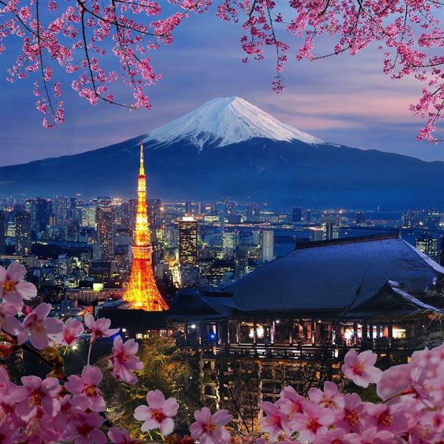  TOUR TOKYO – HAKONE – PHÚ SĨ – NABANA NO SATO (LỄ HỘI ÁNH SÁNG) - KYOTO – OSAKA