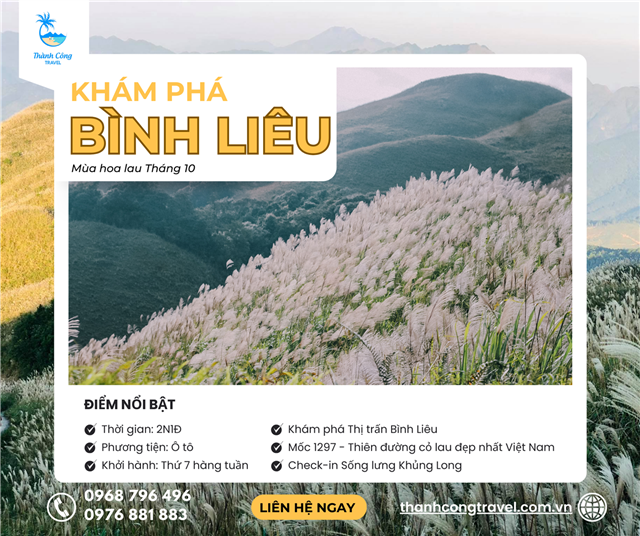 Khám phá Bình Liêu mùa hoa lau 