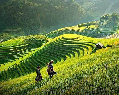 HÀ NỘI - SAPA