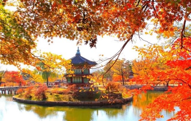 KHÁM PHÁ MÙA THU VÀNG: HÀ NỘI - SEOUL - NAMI – EVERLAND –  RỪNG SEOUL - HÁI TÁO BAY SÁNG VẾ TỐI VNA