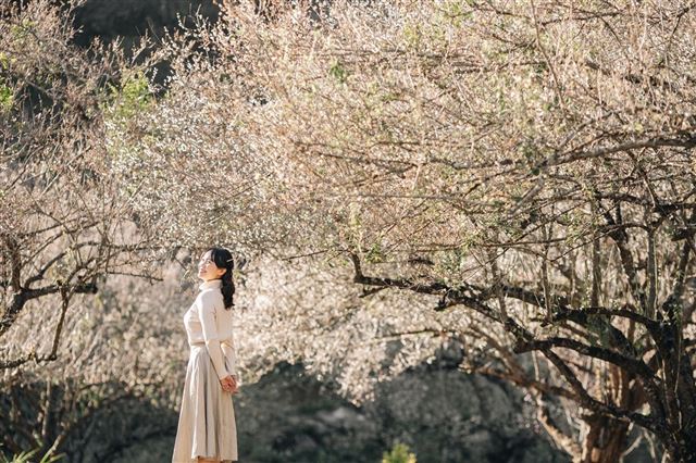 KHÁM PHÁ MỘC CHÂU - CẦU KÍNH BẠCH LONG (2 ngày 1 đêm) (khách sạn 3 sao)/ Phương tiện: ô tô / Khởi hành: thứ 7 hàng tuần