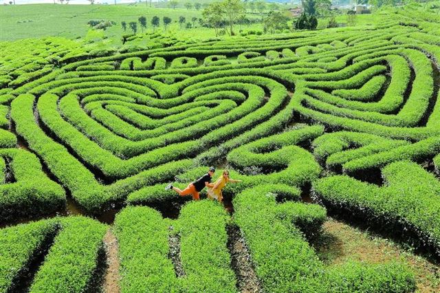 HÀ NỘI – MỘC CHÂU