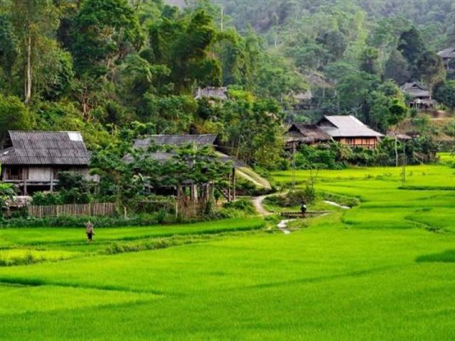 Du lịch Tây Bắc ĐIỆN BIÊN - A PA CHẢI - MƯỜNG PHĂNG