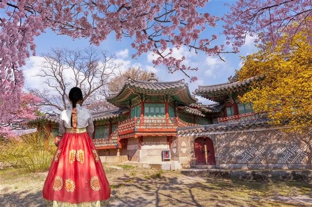 HÀ NỘI – BUSAN – SEOUL – ĐẢO NAMI – INCHEON- NGẮM HOA ANH ĐÀO 