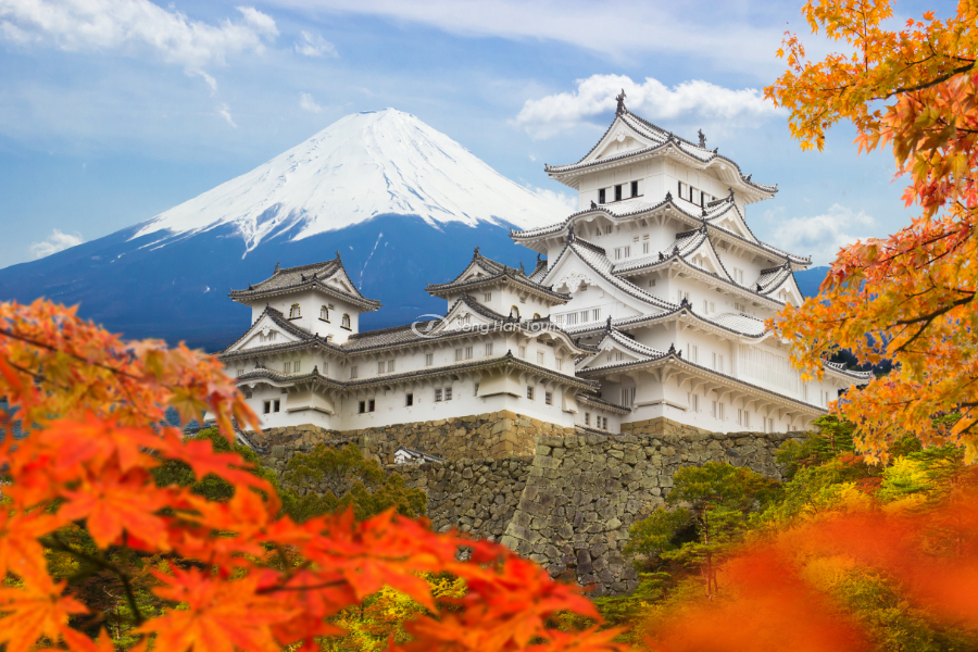 HÀ NỘI - YAMANASHI - PHÚ SĨ - TOKYO