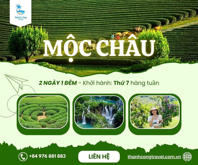 Khám phá Mộc Châu - Trải nghiệm Cầu kính Bạch Long | Tour 2N1Đ từ Hà Nội