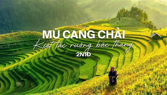 MÙ CANG CHẢI 2N1D (Homestay)