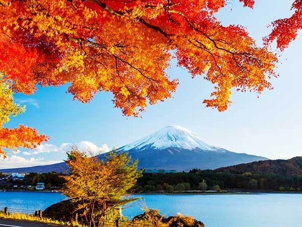 KHÁM PHÁ MÙA THU NHẬT BẢN: HÀ NỘI- OSAKA –KOBE– KYOTO – NÚI PHÚ SĨ – TOKYO 6N5D BAY VJ