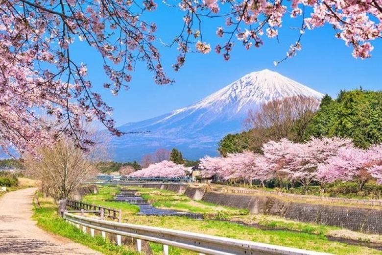 TOUR TẾT AL: NHẬT BẢN – CUNG ĐƯỜNG VÀNG HÀ NỘI: OSAKA – KYOTO – NAGOYA – FUJI – TOKYO- BAY VJ