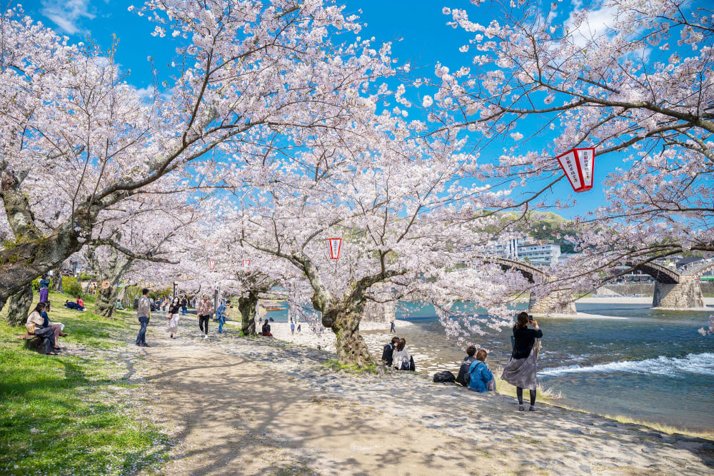 TOUR NHẬT BẢN: OSAKA – KYOTO NAGOYA – NÚI PHÚ SĨ – TOKYO MÙA HOA ANH ĐÀO 6N5Đ (TA)