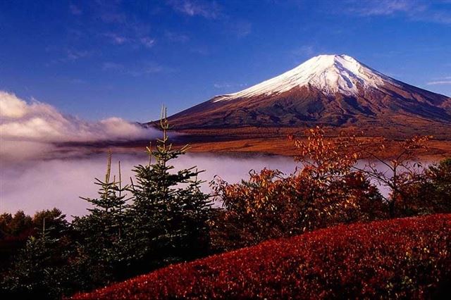 NAGOYA–NARA– OSAKA- KYOTO – NÚI PHÚ SĨ – TOKYO