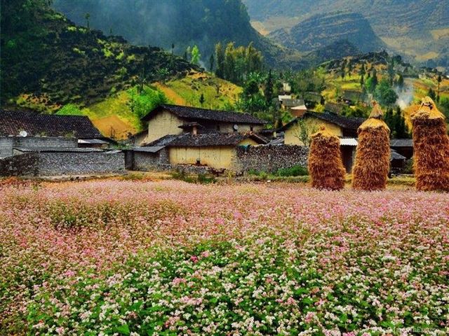 Tour Hà Nội – Hà Giang – Lũng Cú – Sông Nho Quế – Thác Bản Giốc – Pác Pó – Hồ Ba Bể 5 ngày 4 đêm