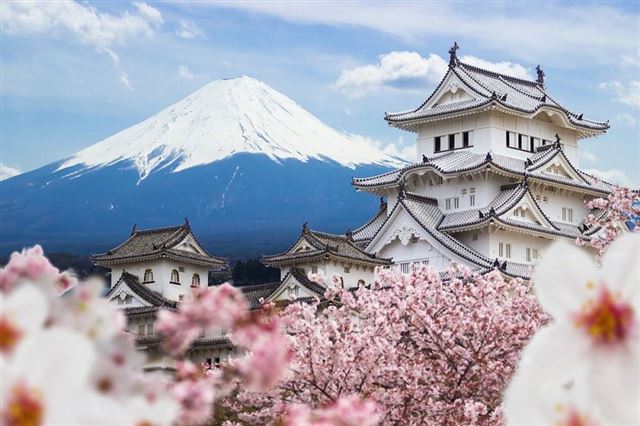 KHÁM PHÁ NHẬT BẢN MÙA HOA ANH ĐÀO 2025 OSAKA – KOBE – KYOTO – NAGOYA – NÚI PHÚ SĨ – TOKYO